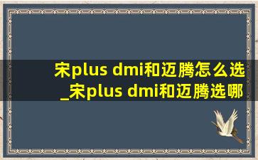 宋plus dmi和迈腾怎么选_宋plus dmi和迈腾选哪个